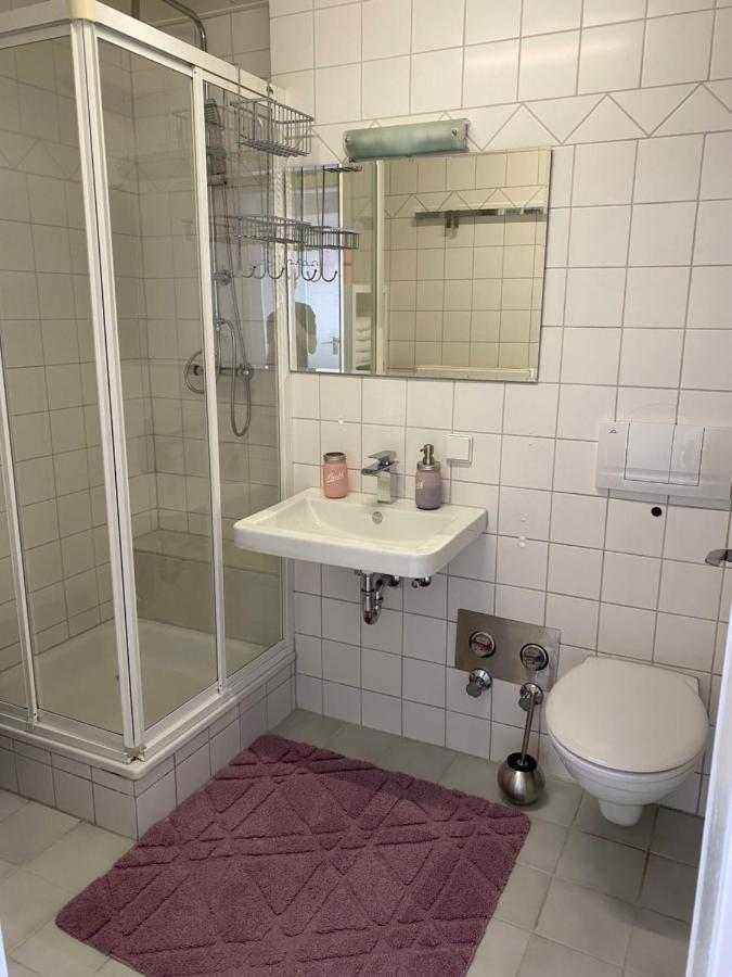 Moderne Ferien-Dachwohnung In Idyllischer Lage Neuweiler  Extérieur photo